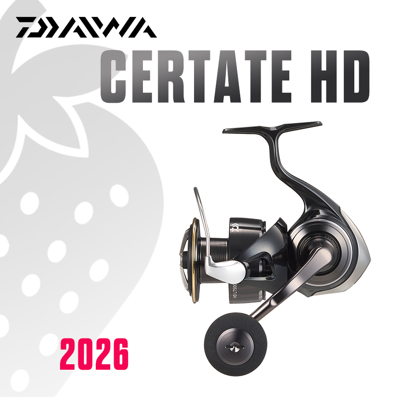 DAIWA 2026 Certate HD Angelrol – Daiwa Reel Bg Bewertung und Preis