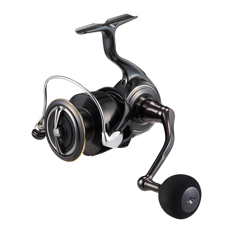 DAIWA 2026 Certate HD Angelrol – Daiwa Reel Bg Bewertung und Preis